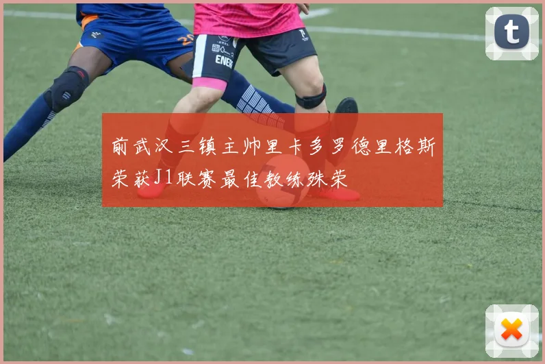 前武汉三镇主帅里卡多罗德里格斯荣获J1联赛最佳教练殊荣